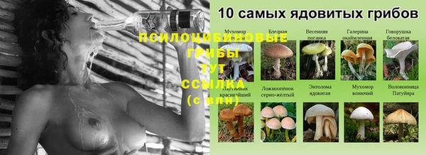 герыч Каменногорск