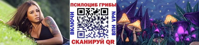 Псилоцибиновые грибы Psilocybine cubensis  Уяр 
