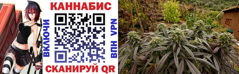 Конопля SATIVA & INDICA  Уяр 